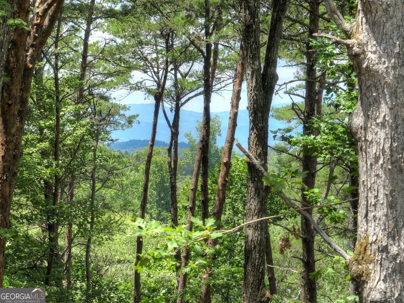 58 Whitetail Hollow Morganton - 5