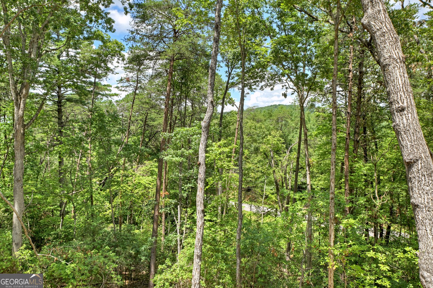 58 Whitetail Hollow Morganton - 6