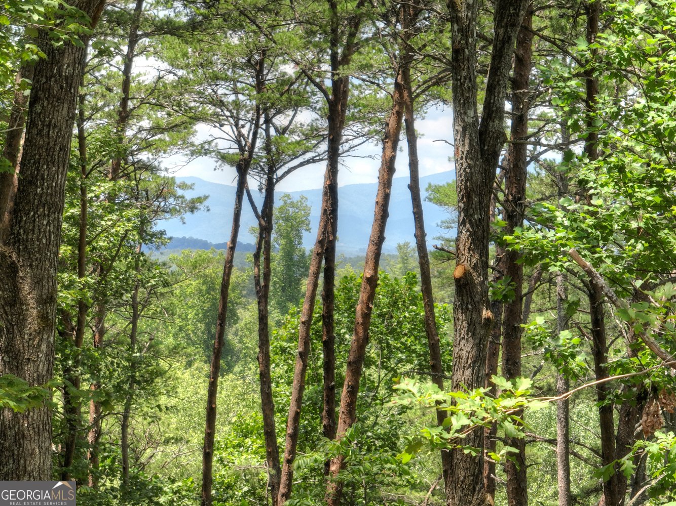 58 Whitetail Hollow Morganton - 7