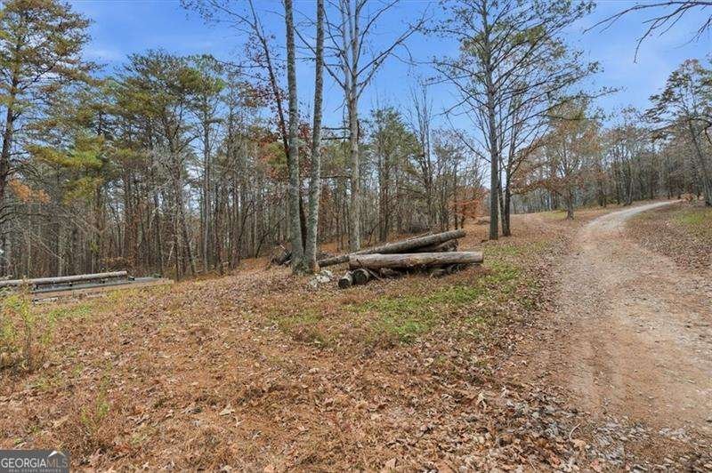 744 Moores Gin Road Fairmount - 28