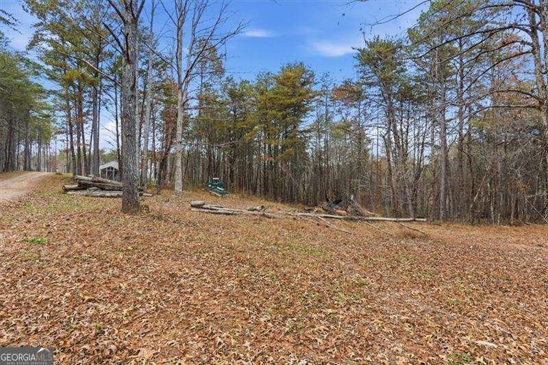 744 Moores Gin Road Fairmount - 30