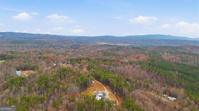 744 Moores Gin Road Fairmount - 39