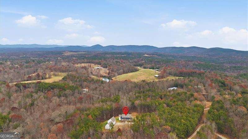 744 Moores Gin Road Fairmount - 41