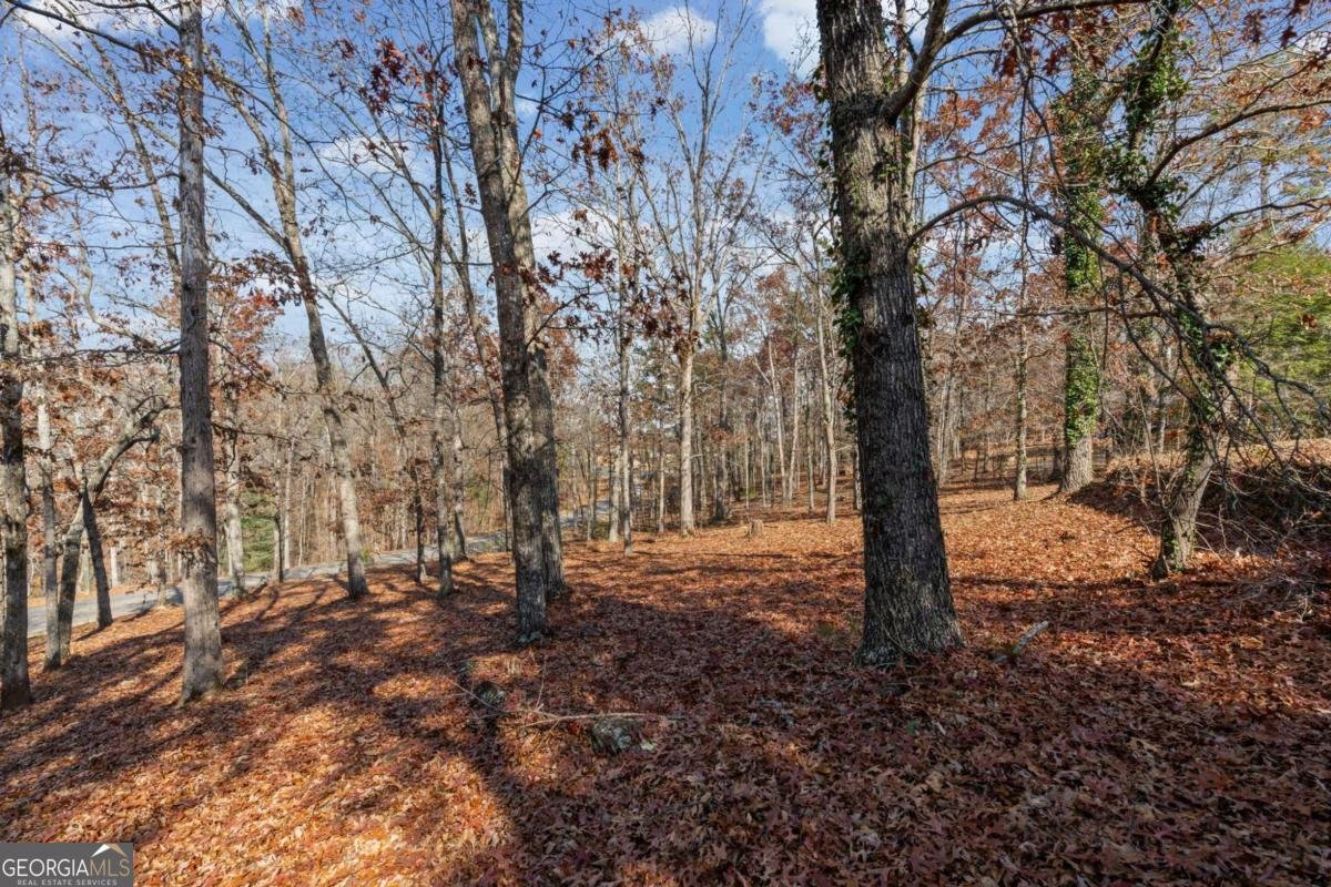 180 Cothran Road Dawsonville - 54