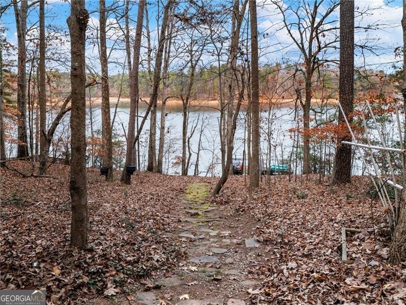 5955 Truman Mountain Road Gainesville - 7