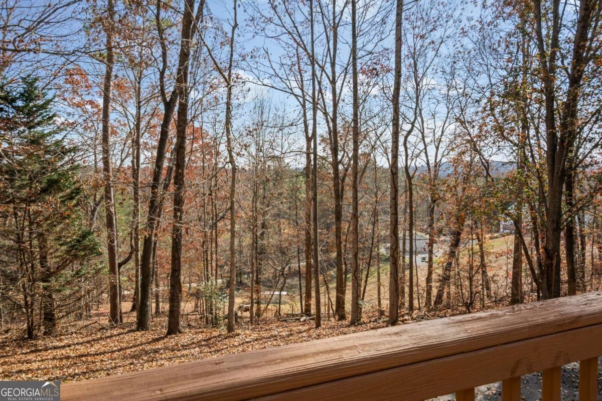 212 Cothran Road Dawsonville - 34