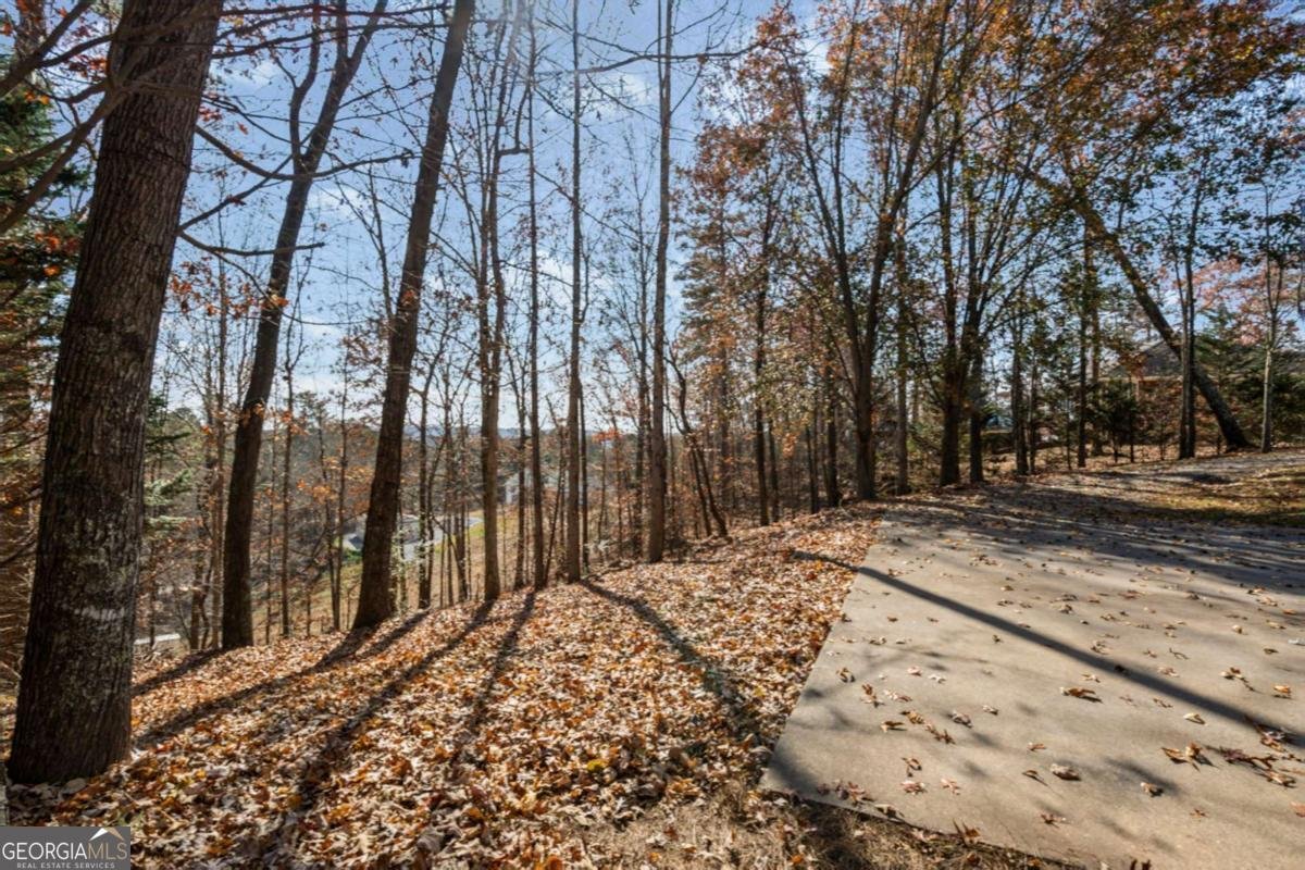 212 Cothran Road Dawsonville - 38