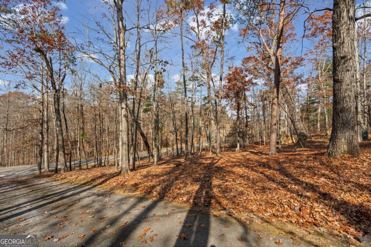 212 Cothran Road Dawsonville - 39