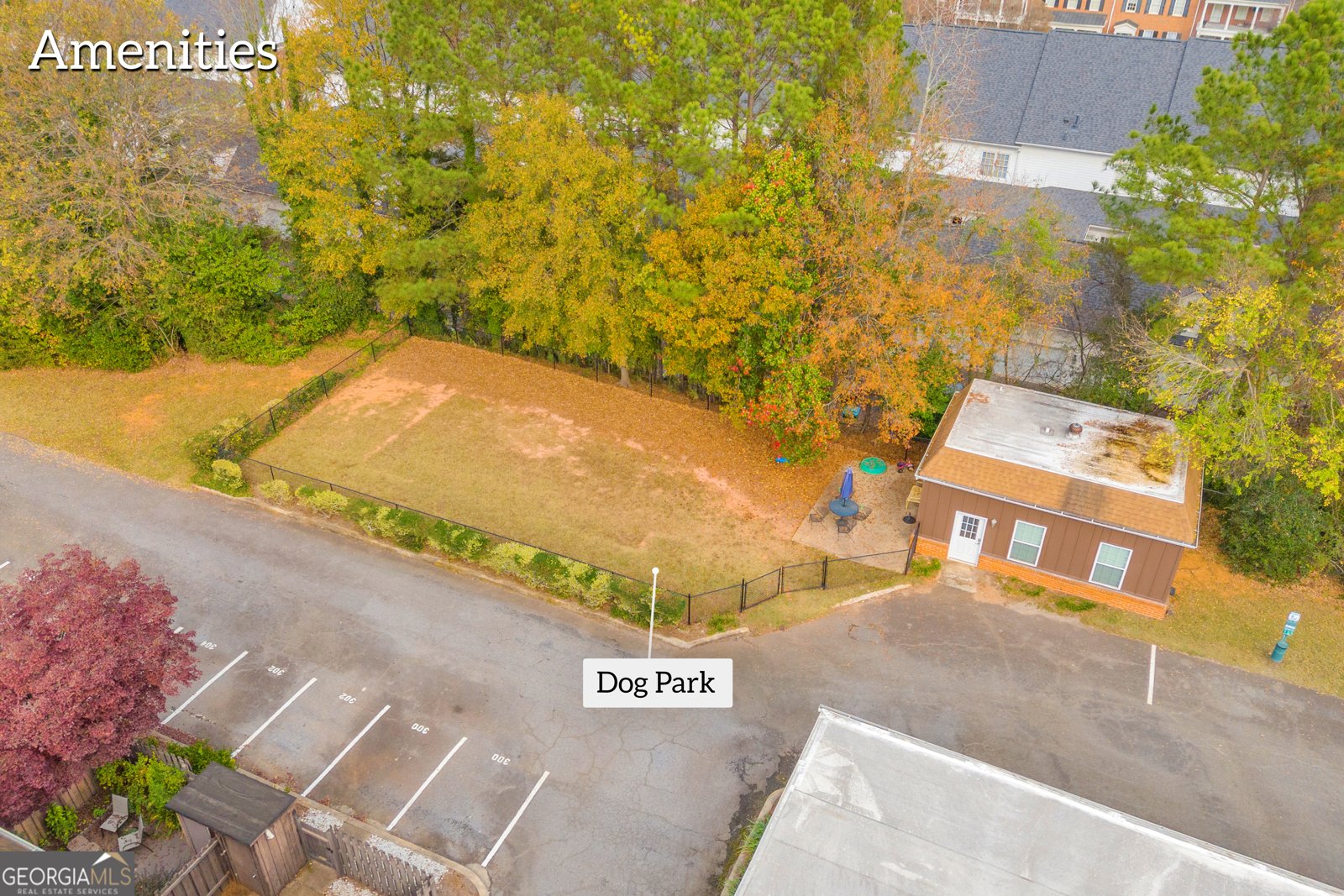 219 Georgetown Drive Athens - 43