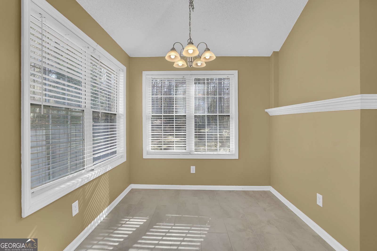 613 Sweet Basil Lane Woodstock - 12