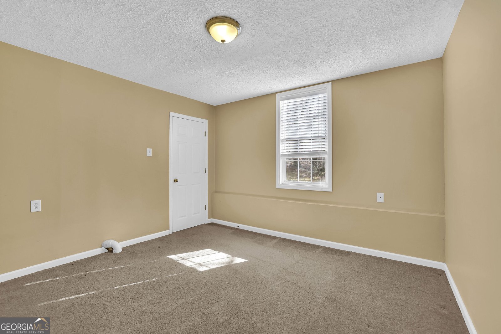 613 Sweet Basil Lane Woodstock - 30