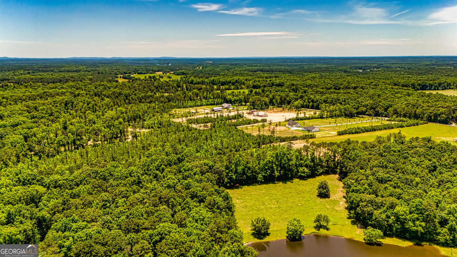 11084 Mount Carmel Road Senoia - 130