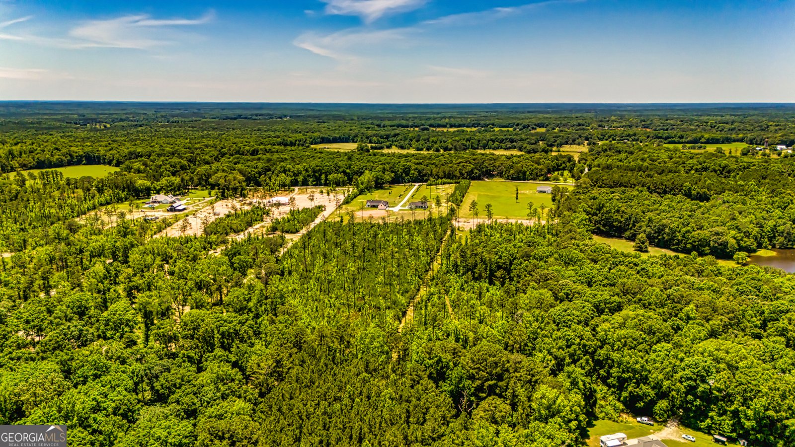 11084 Mount Carmel Road Senoia - 131