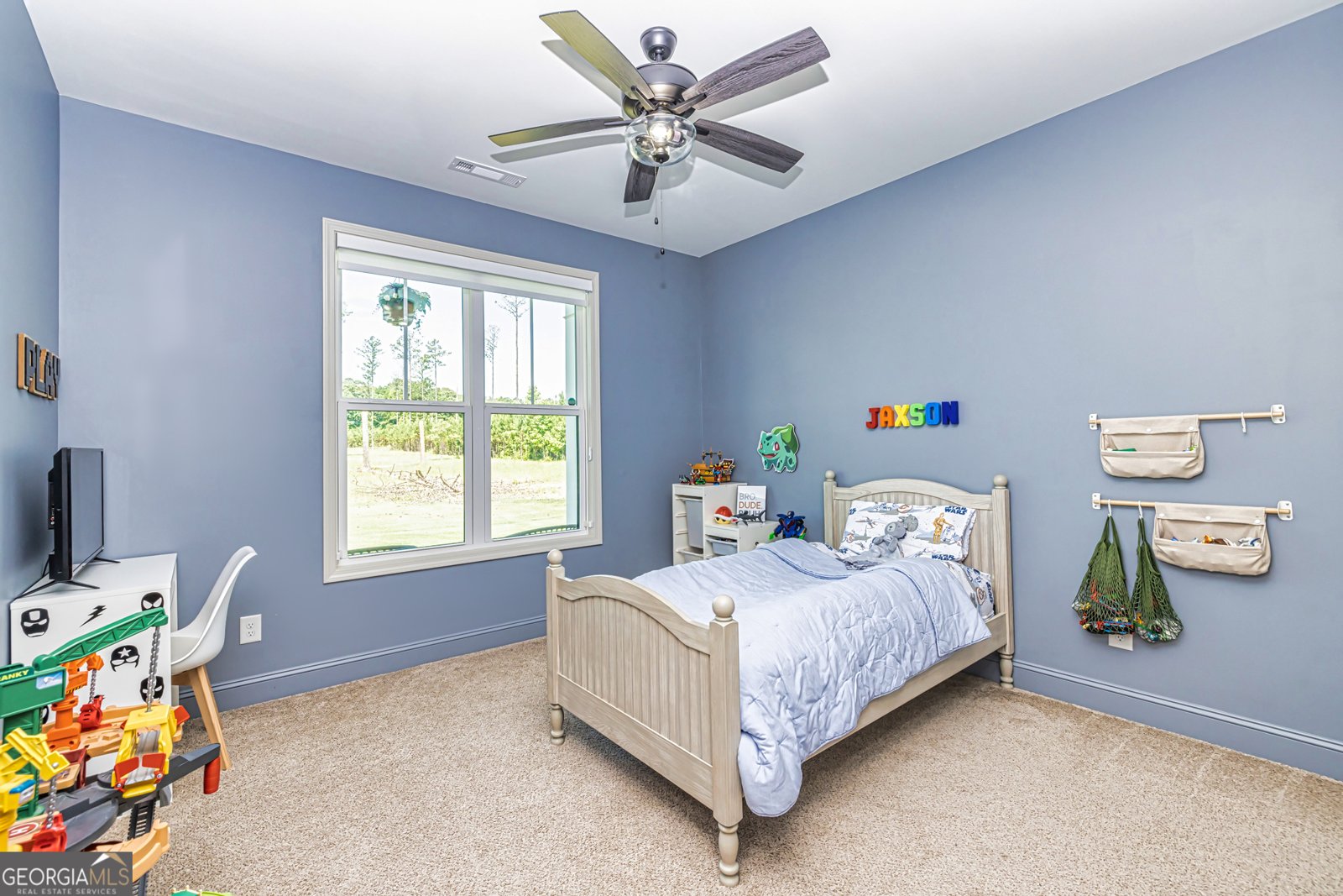 11084 Mount Carmel Road Senoia - 83