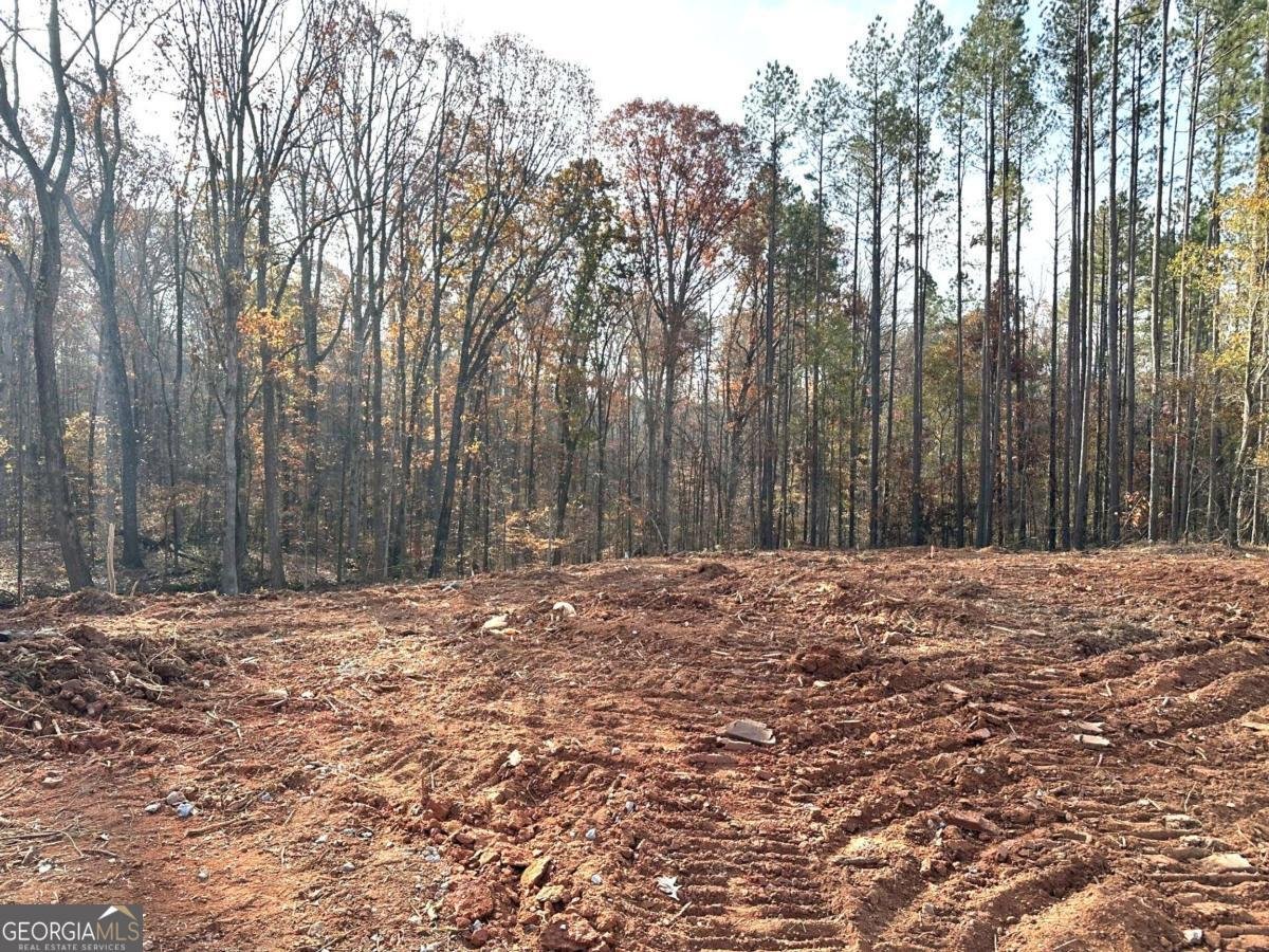 2037 Boulder Ridge Lane Bishop - Photo 6