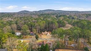 4509 Landing Drive Marietta - 44