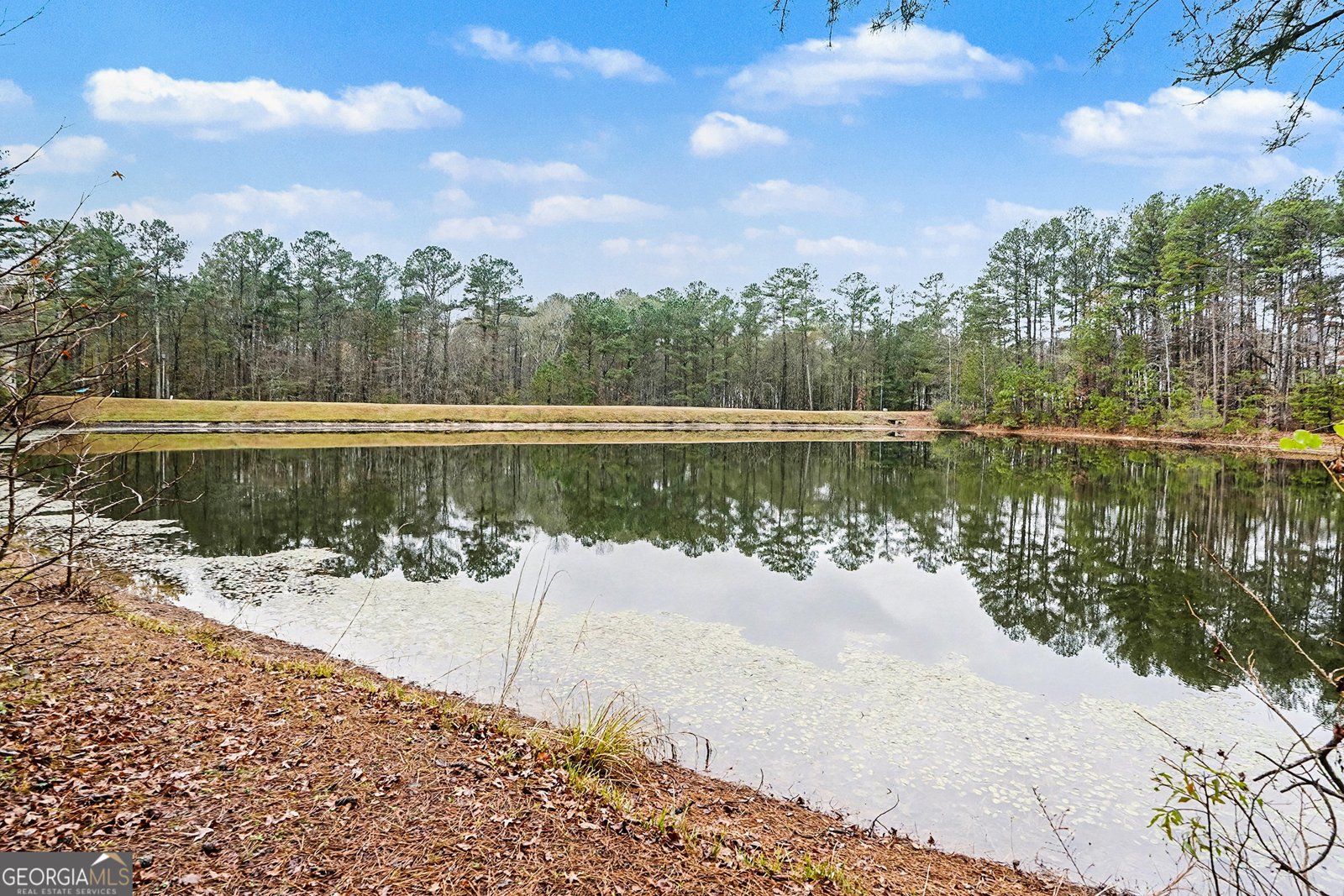 205 Harbor Lakes Way Fayetteville - 34