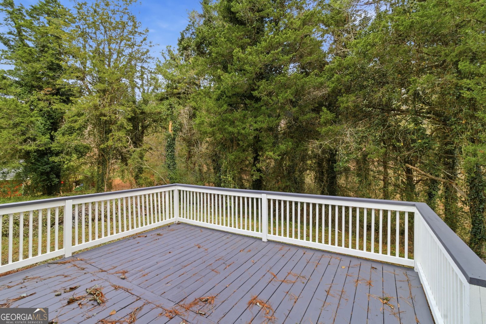 5677 Fosters Mill Road Cave Spring - 49