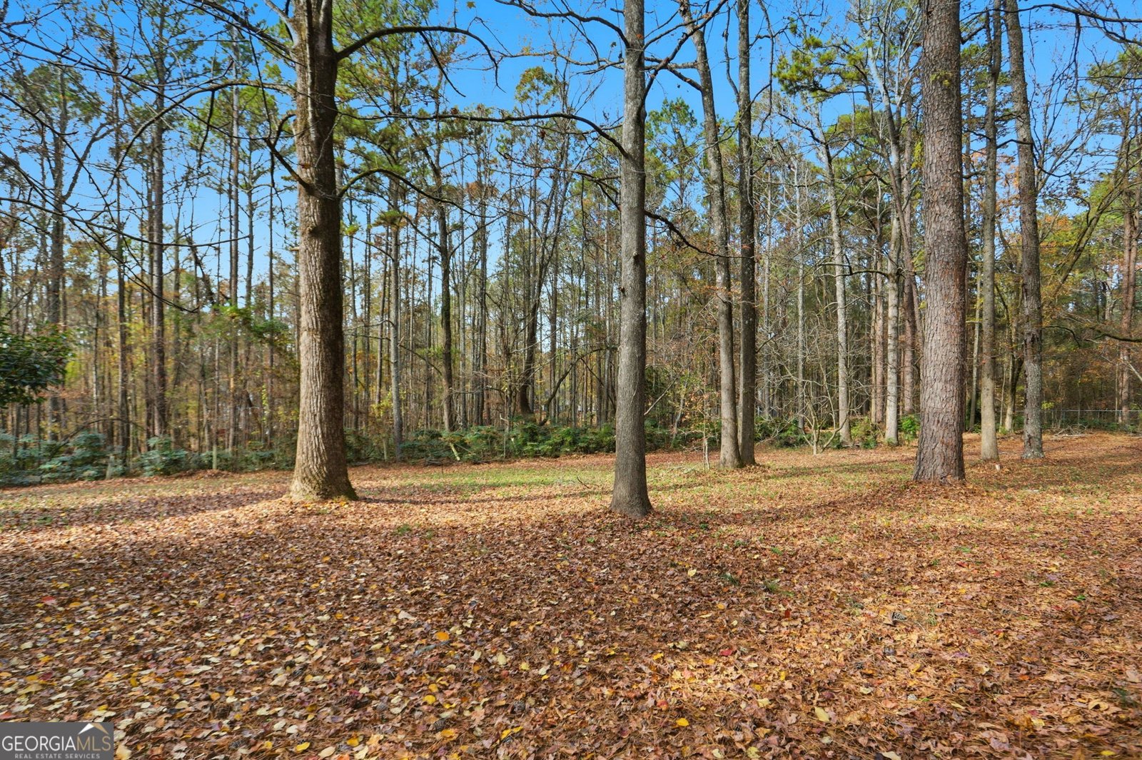 2135 Highway 85 Fayetteville - 29