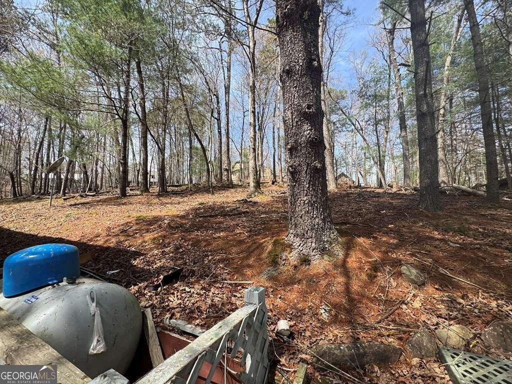 319 25Th Street Ellijay - 11