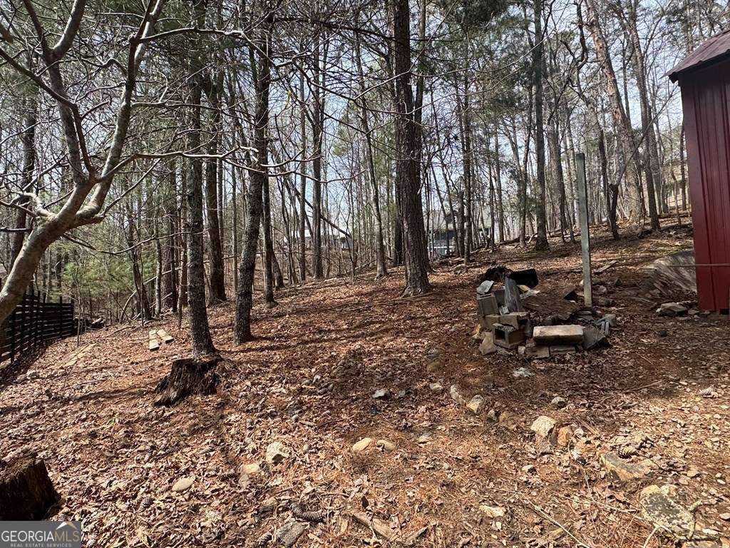 319 25Th Street Ellijay - 9