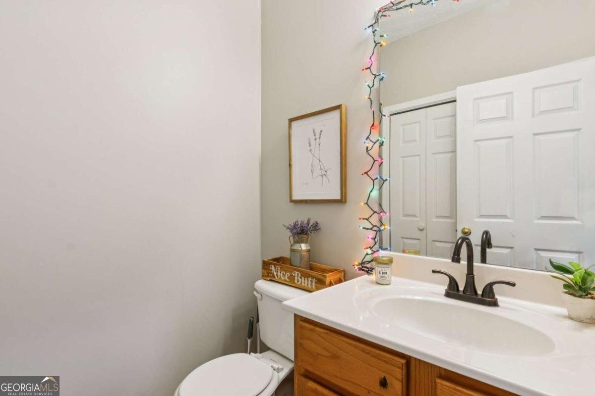 180 Pearl Chambers Drive Dawsonville - 14