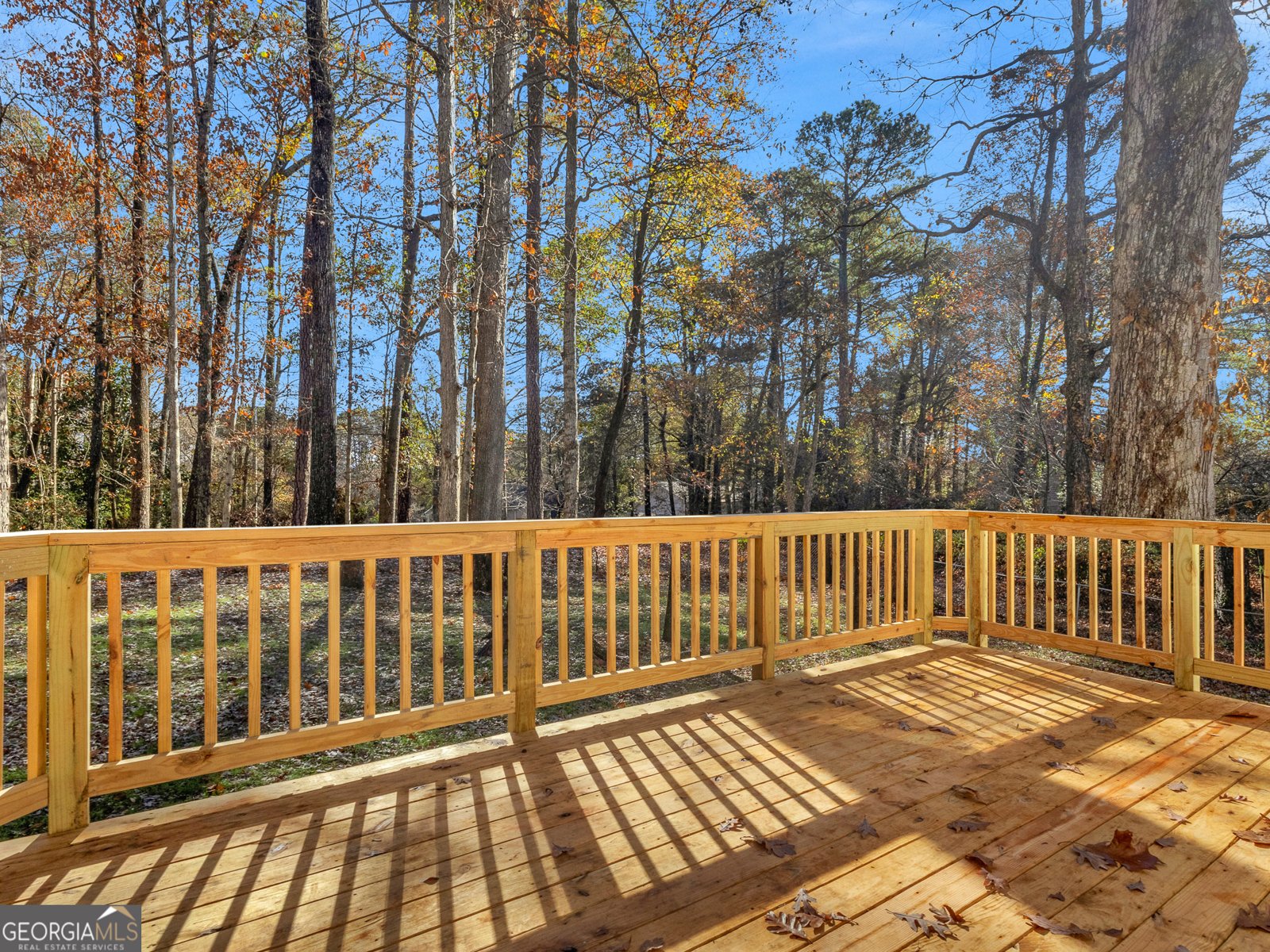 8228 Lullwater Court Jonesboro - 22