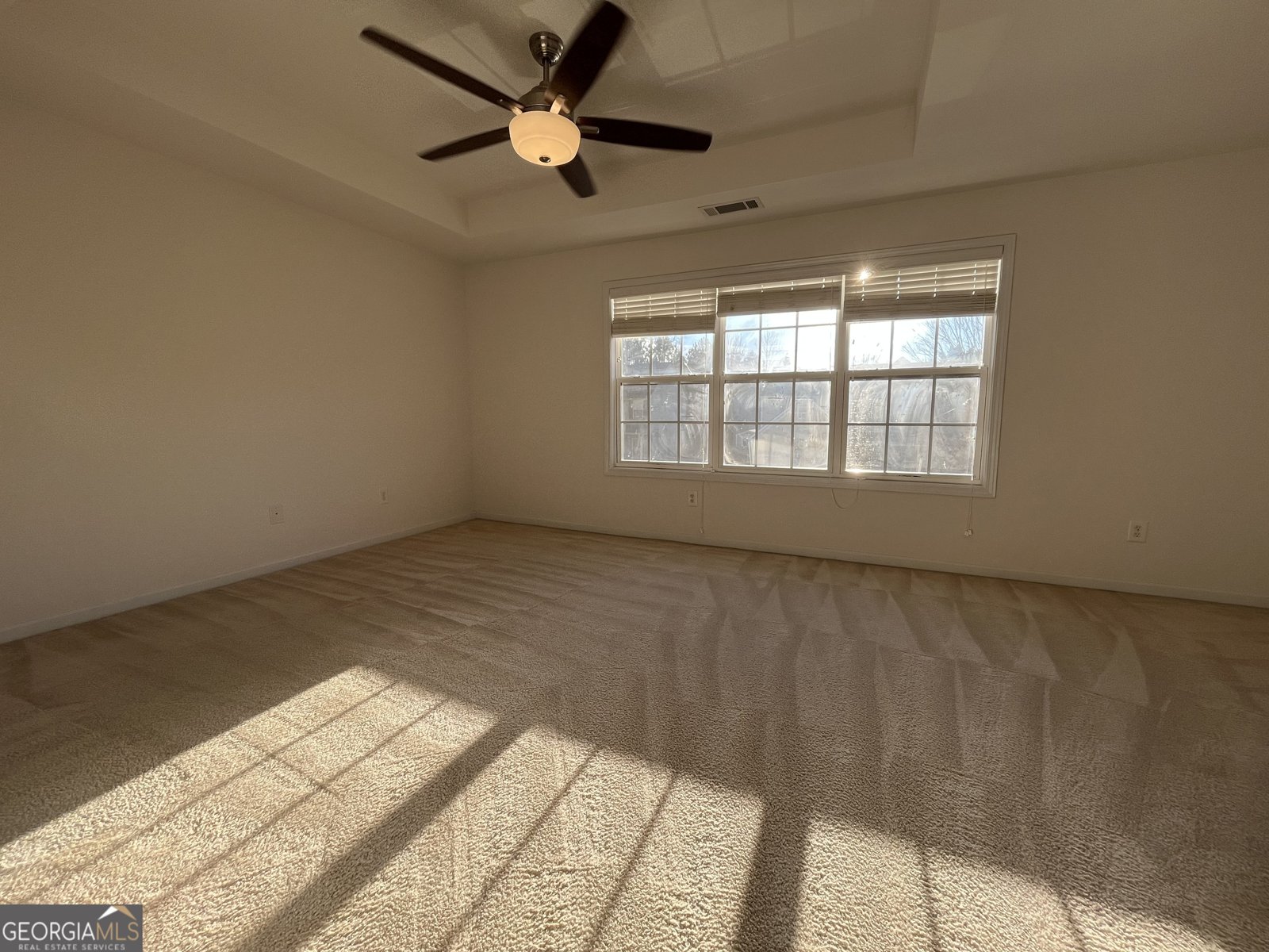 4494 Black Hills Drive Acworth - 38