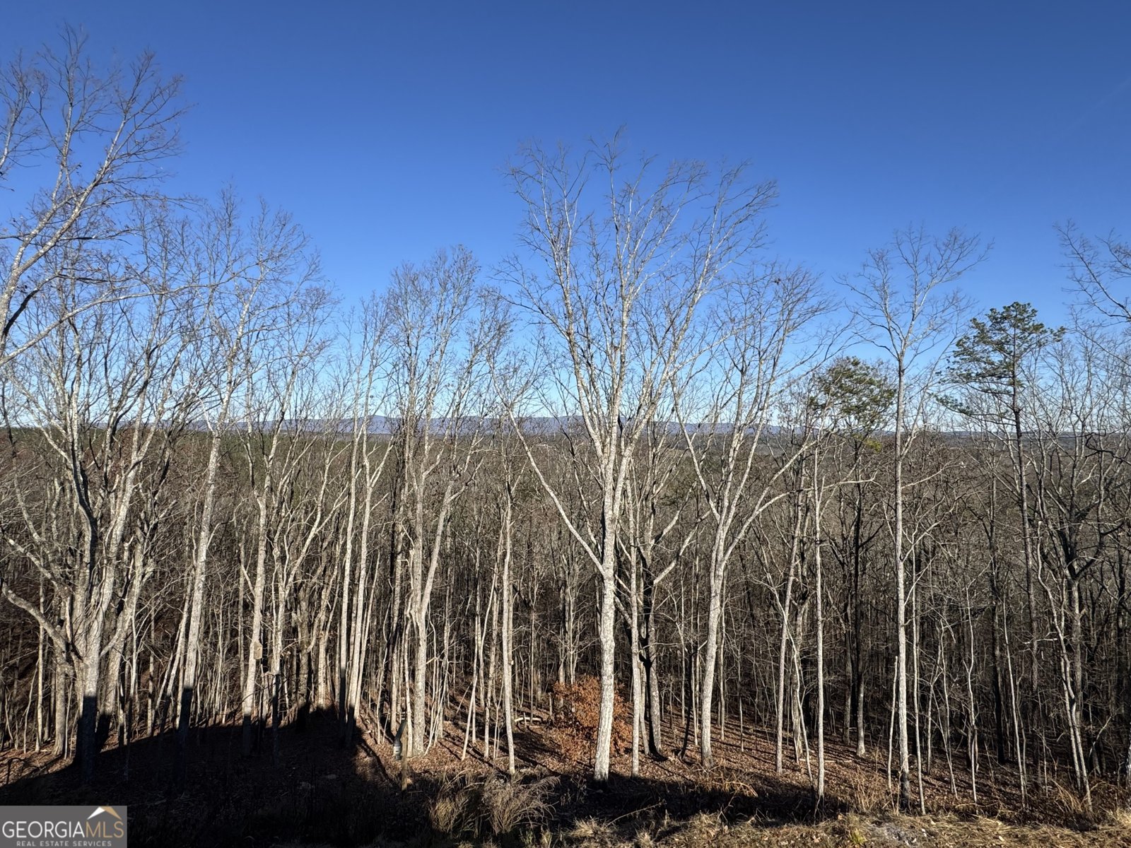 171 Hawthorne Hill Road Jasper - 20