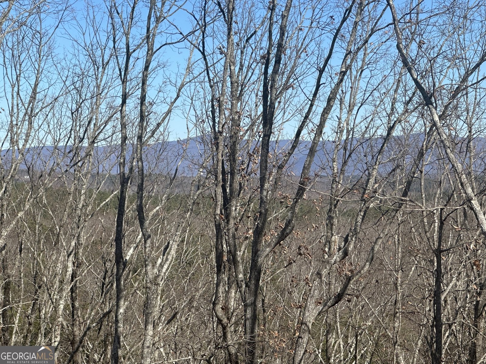 171 Hawthorne Hill Road Jasper - 49