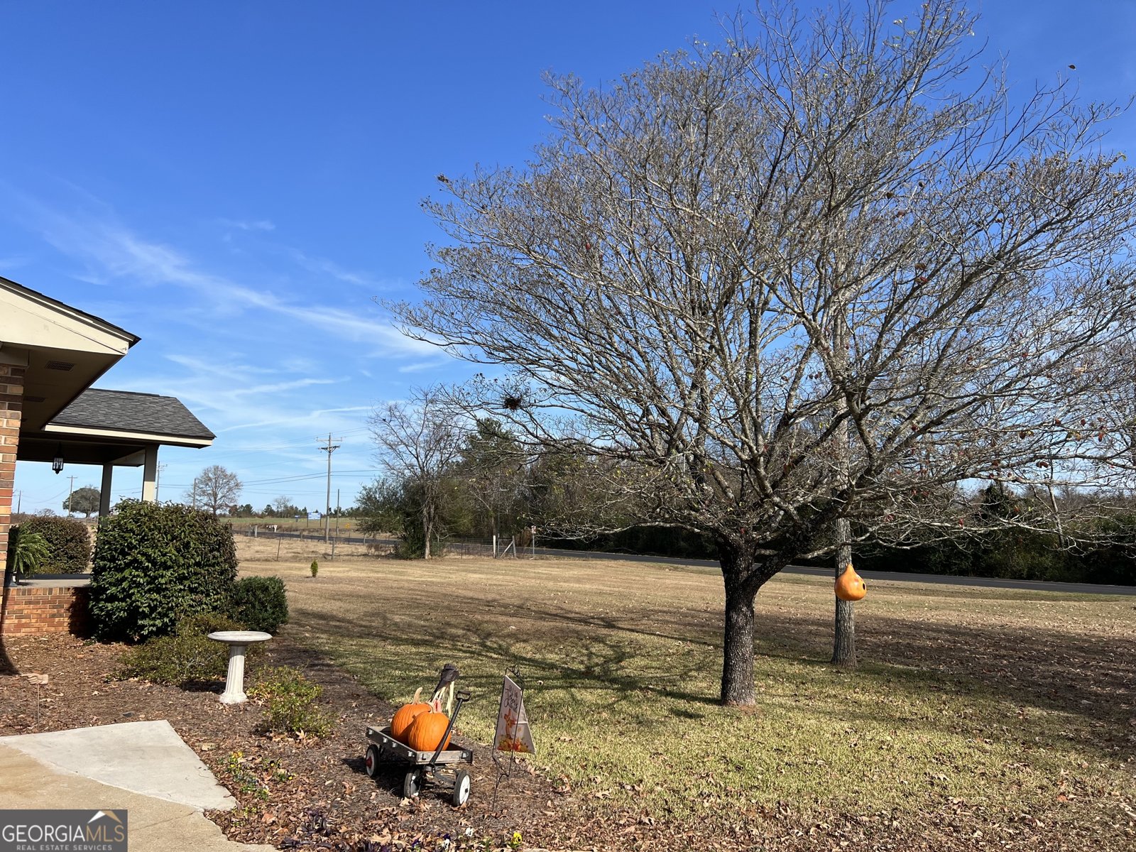 1512 Buckeye Road East Dublin - 42