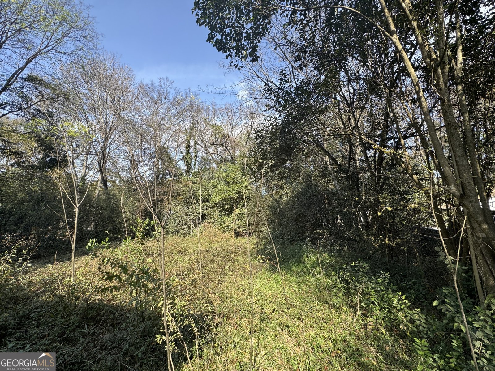 1211 Schelly Street Macon - 5