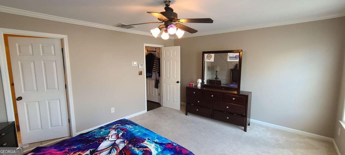 4434 Lassen Court Suwanee - 22