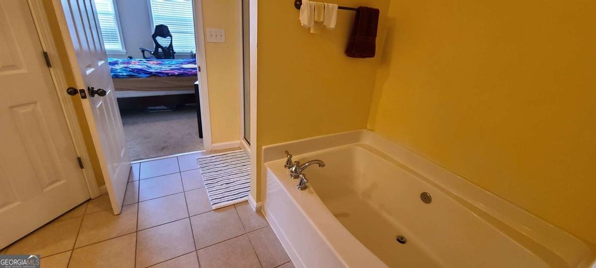 4434 Lassen Court Suwanee - 29