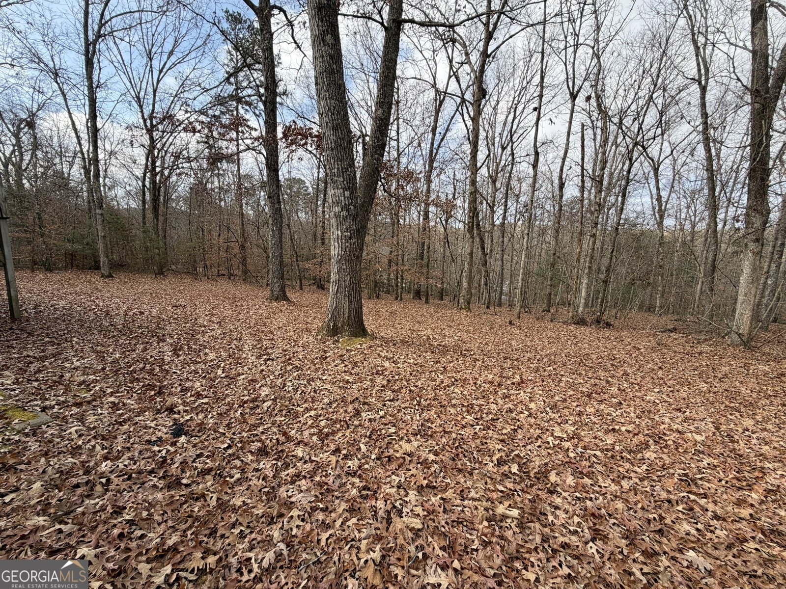 154 Stacey Drive Cleveland - 16