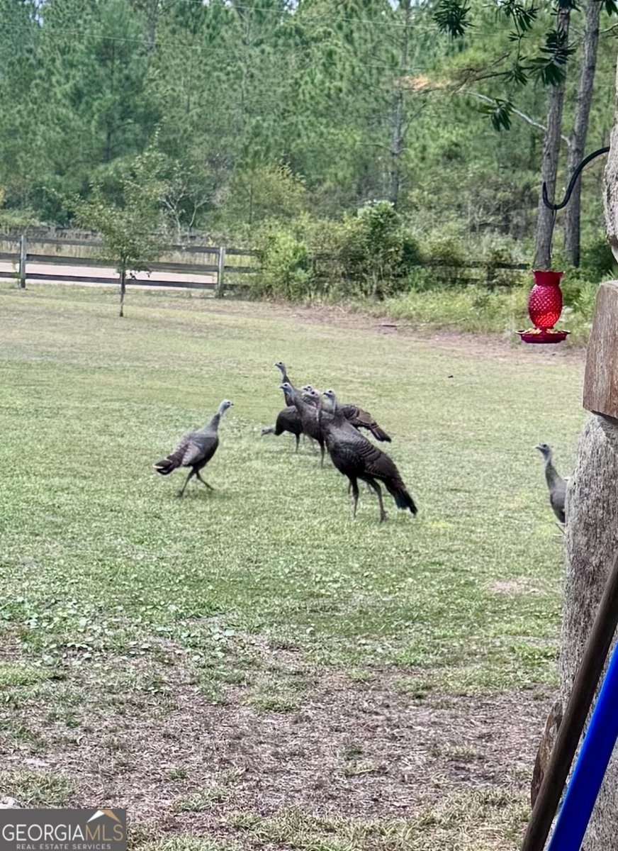 475 Mattox Road Folkston - 48