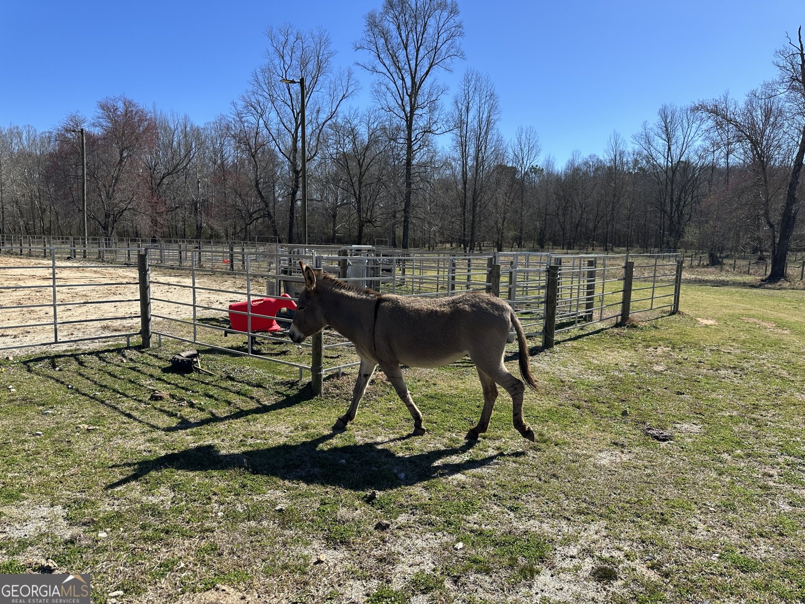 175 ACRES Roosevelt Highway Warm Springs - 100