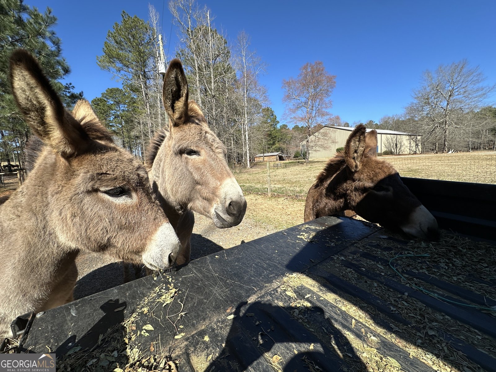 175 ACRES Roosevelt Highway Warm Springs - 101