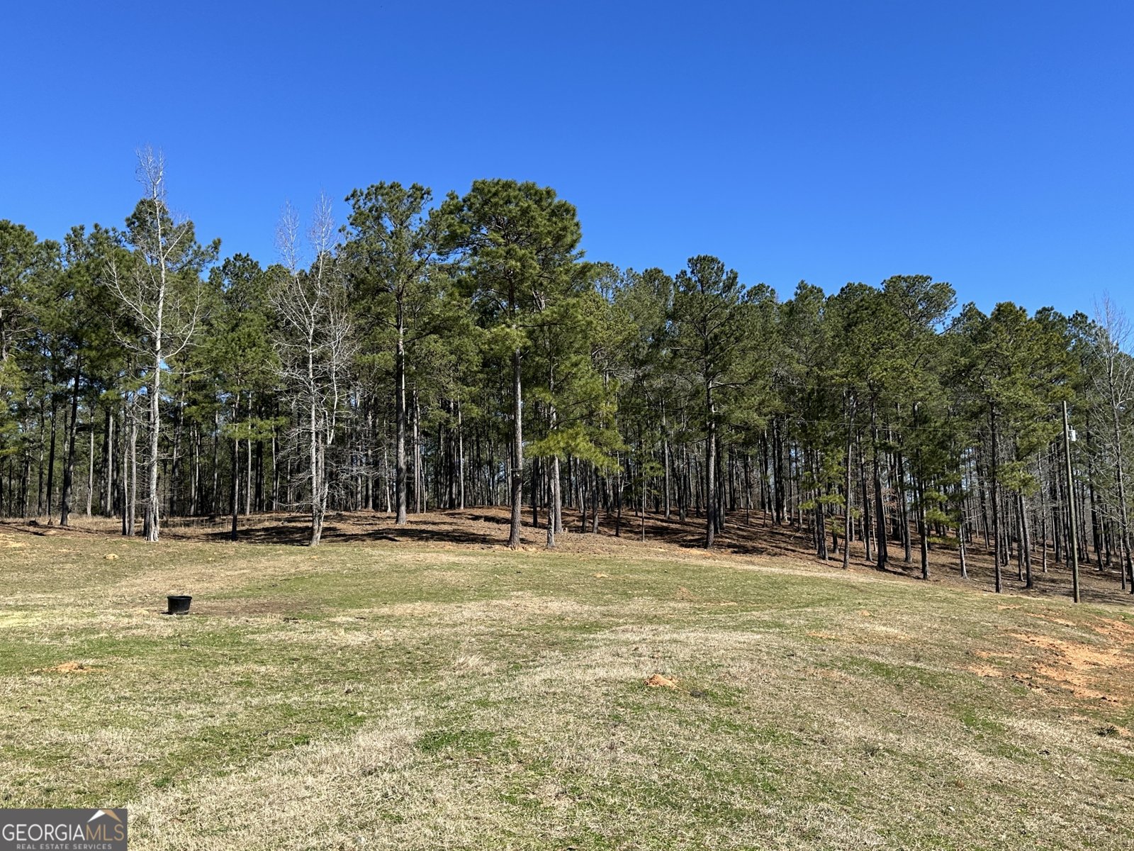 175 ACRES Roosevelt Highway Warm Springs - 107