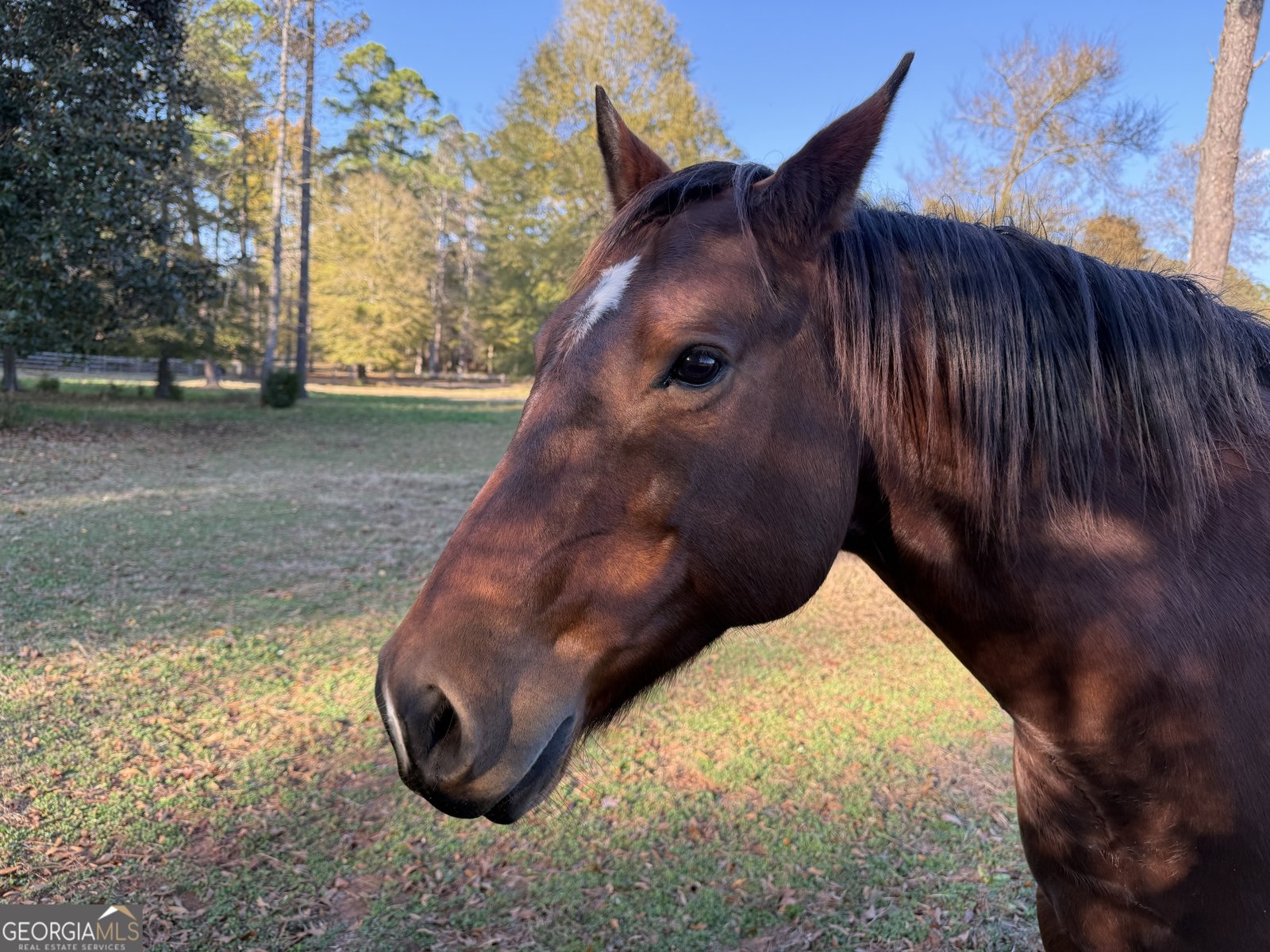 175 ACRES Roosevelt Highway Warm Springs - 80