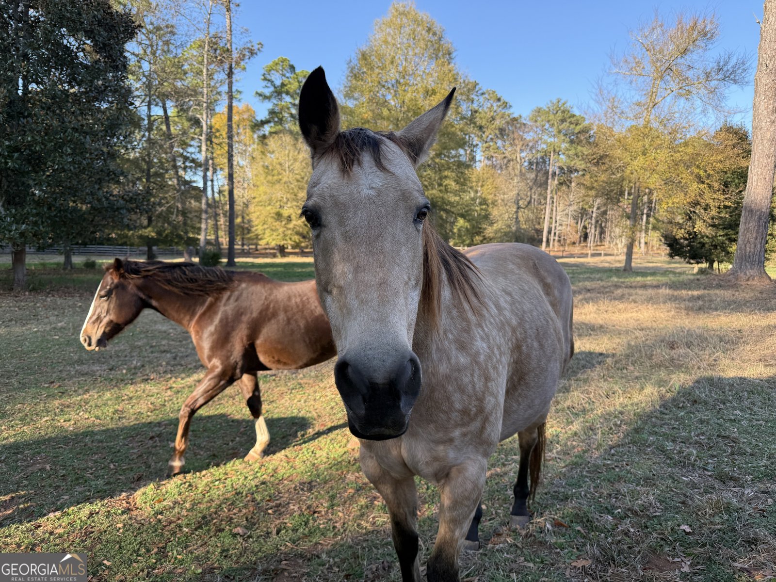 175 ACRES Roosevelt Highway Warm Springs - 81