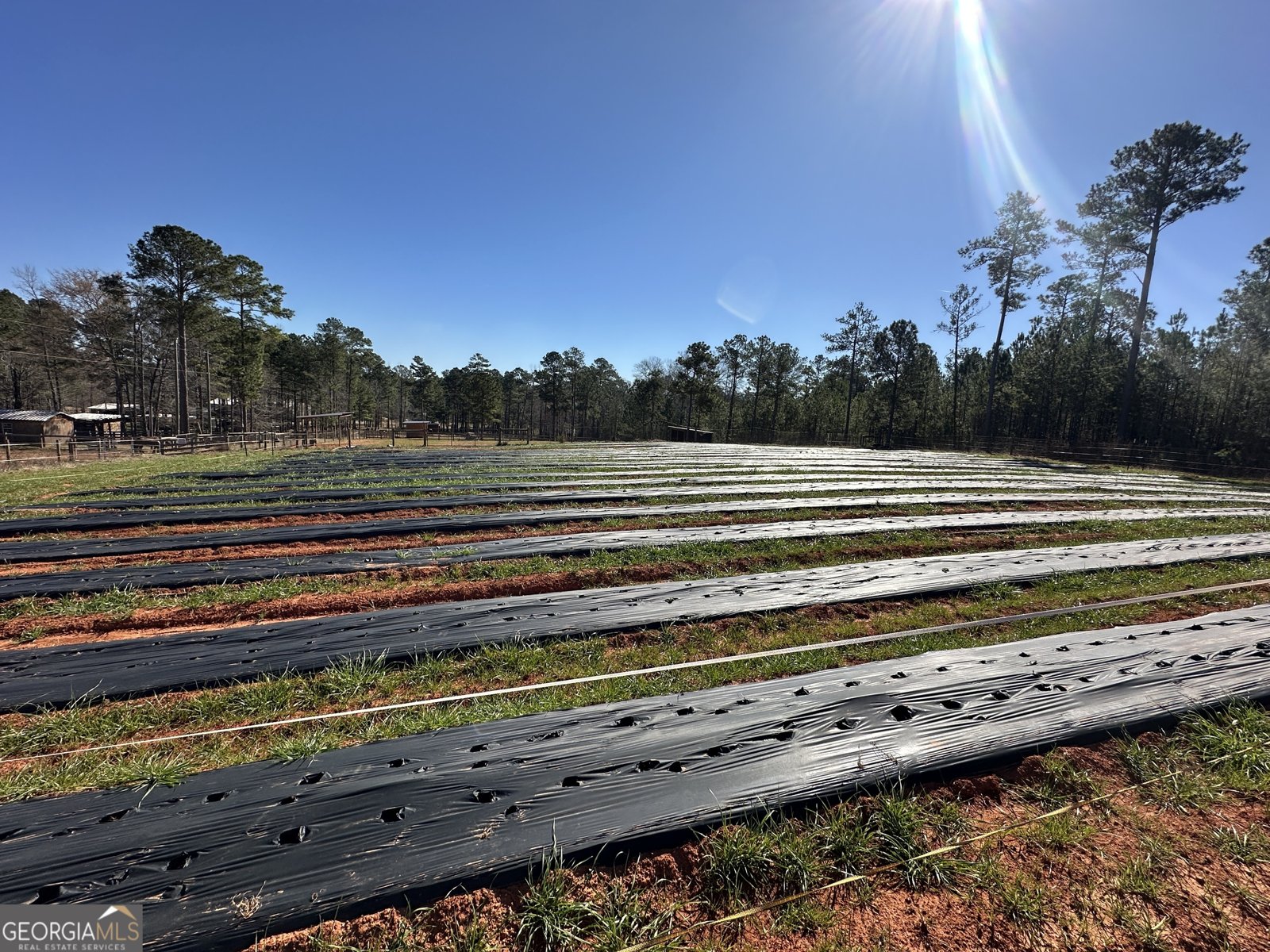 175 ACRES Roosevelt Highway Warm Springs - 95