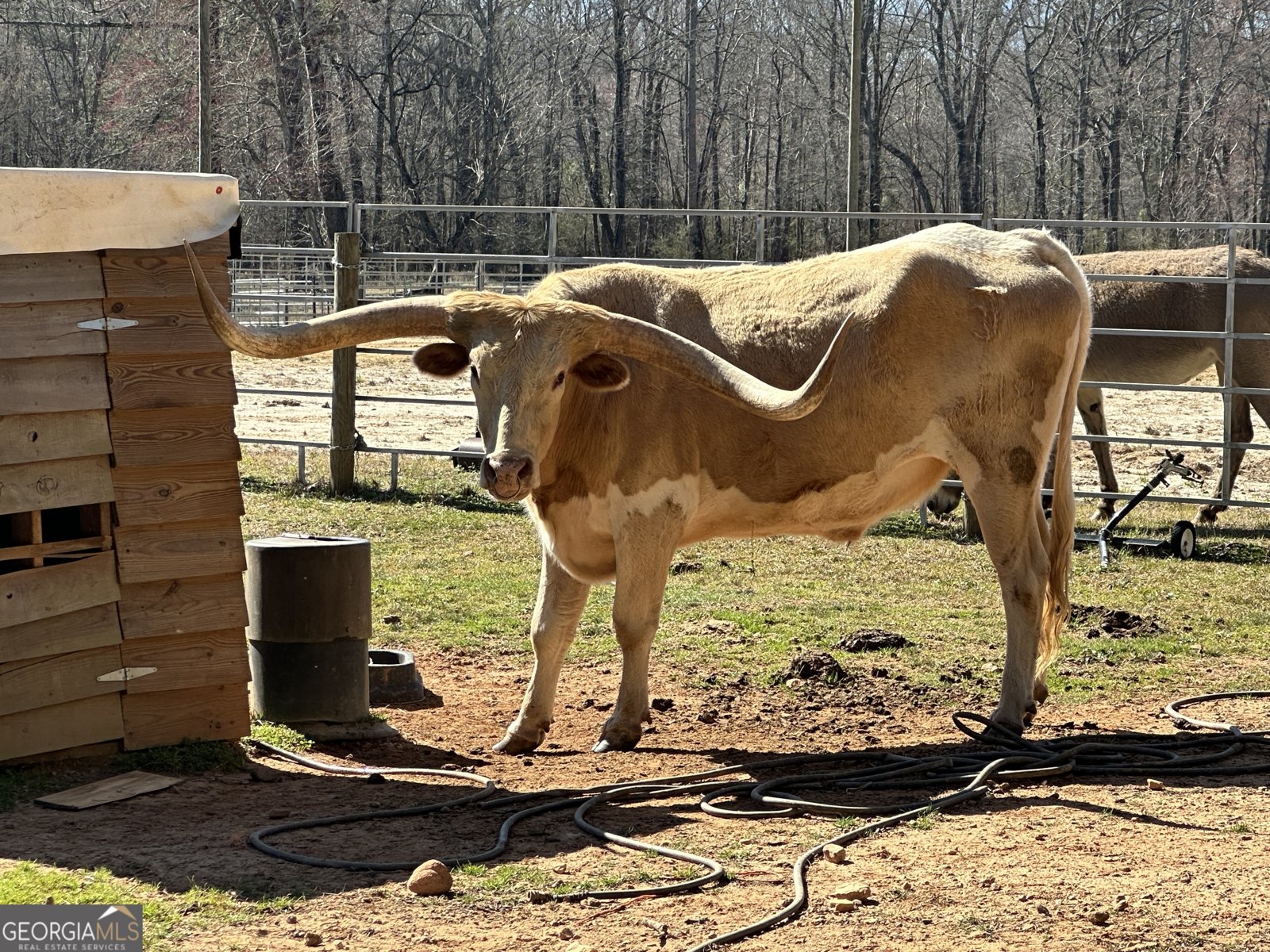 175 ACRES Roosevelt Highway Warm Springs - 99