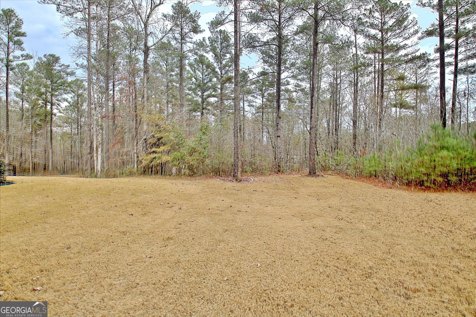 1109 Old Corinth Road Newnan - 26