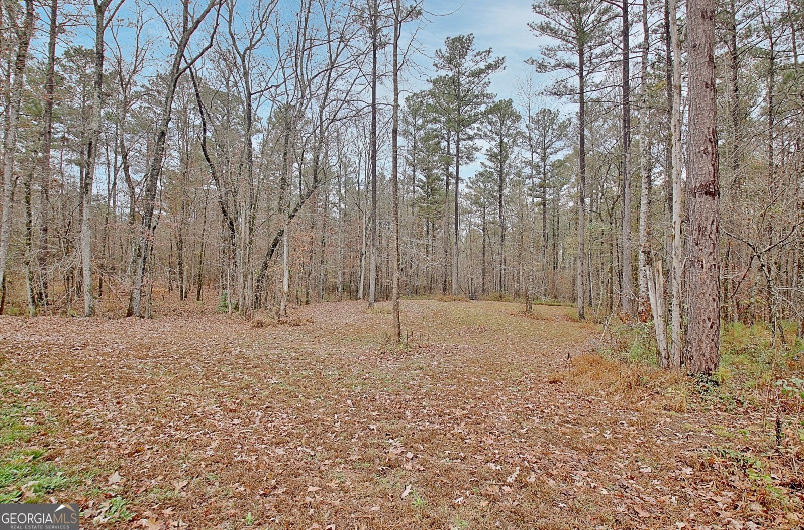 1109 Old Corinth Road Newnan - 29