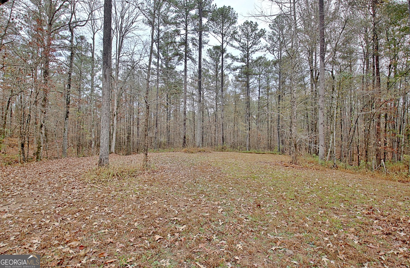 1109 Old Corinth Road Newnan - 32