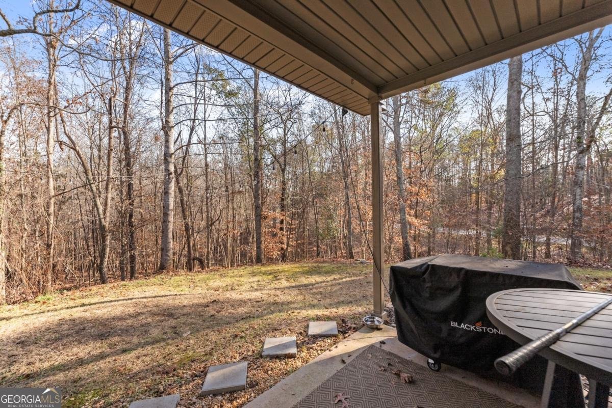 28 Spring Ridge Drive Dawsonville - 24