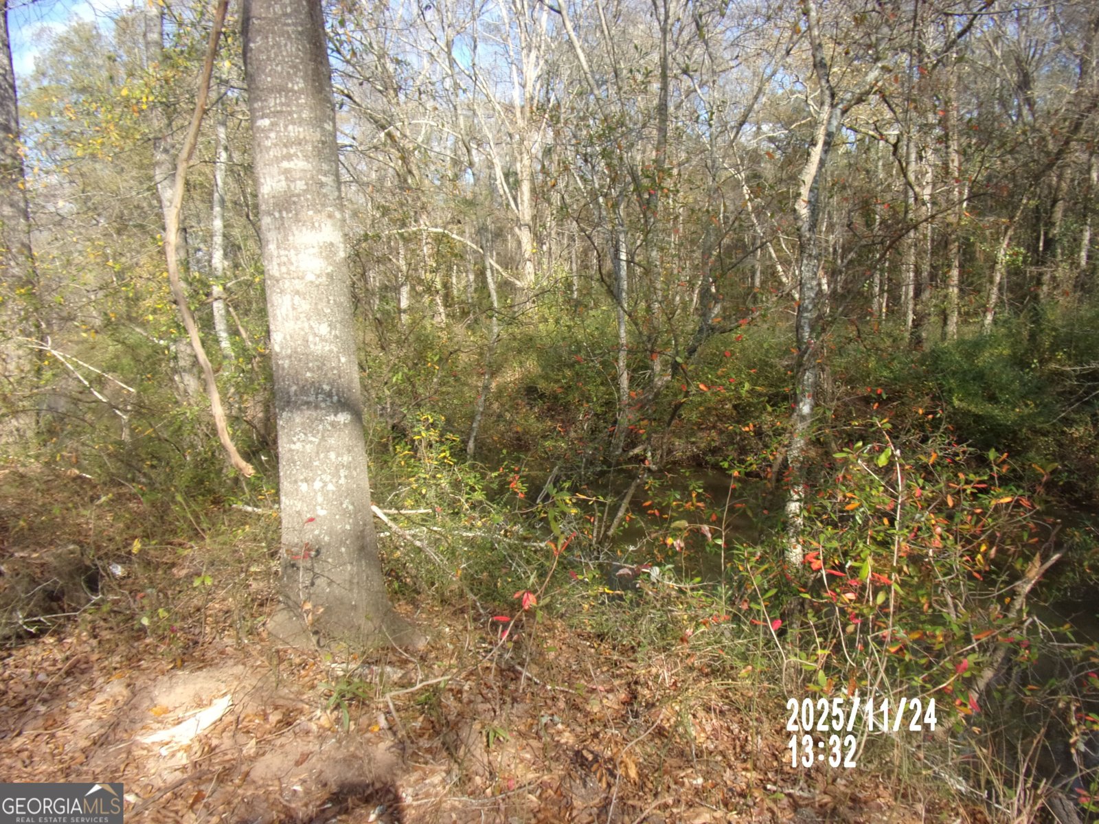 781 N Delray Thomaston - 20