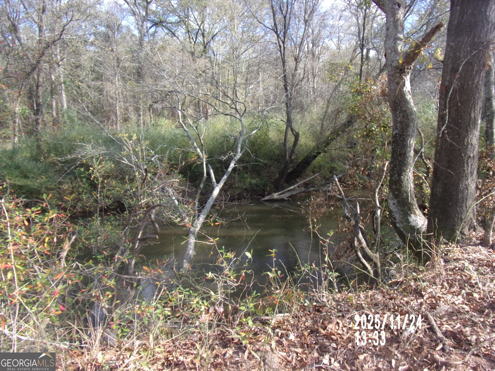 781 N Delray Thomaston - 21