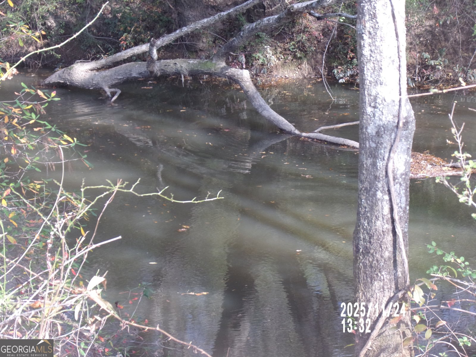 781 N Delray Thomaston - 8